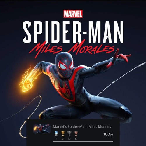 Platinum trophy service - trophy,